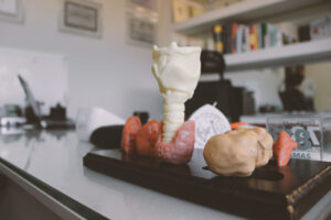 Consultório - Dr. Frederico Marchisotti