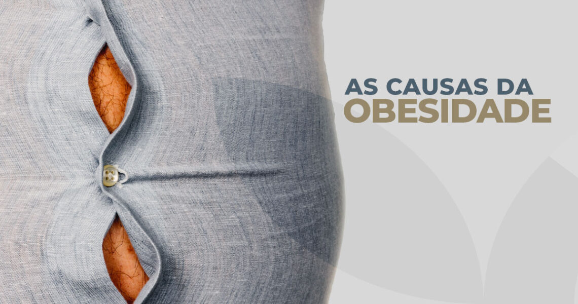 Causas da Obesidade