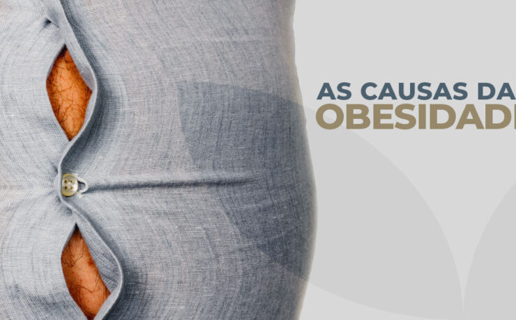 Causas da Obesidade